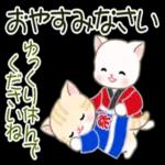 かわいい猫😺が来ますよ！