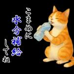 飛び出す【夏】ずっと使える大人のご挨拶
