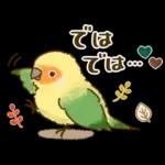 敬語が話せる！もふもふインコ