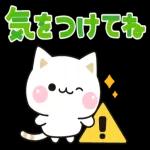 気づかいのできるネコ♪