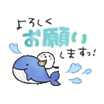 吾輩は猫です。。。夏