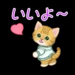 冬のキラキラおめめの子猫ちゃん