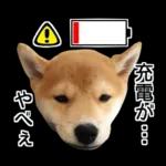 Premium 柴犬こてつ君*スタンプ第二弾