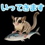 フクロモモンガ❤実りの秋は大豊作