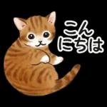 毎日☆猫たちのスタンプ