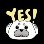 アザラシのましゅまろくん1