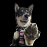 かわいい黒柴くんの敬語🐶