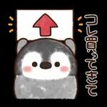 ふんわりペンちゃん【家族連絡用】
