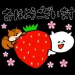 🌼春の息吹パッケージ2