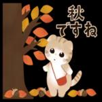 水彩♡ふわふわ♡秋の子猫