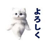 踊る！ペルシャ猫