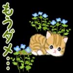 ころころ子猫 春の野原でかくれんぼ
