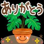 おはようございます☀️