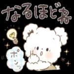 今日の癒しと元気をお届けますよ〜