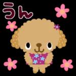 日中は元気いっぱい！