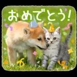 しばにゃんこスタンプ