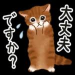  ゆっくり休んで、お大事にして。。。