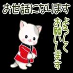 かわいい猫😺が来ますよ！