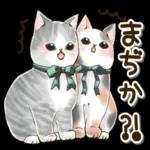 仲良しねこ♡気使いいっぱいスタンプ_-