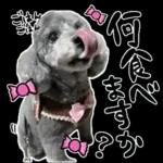 大人かわいい日常メッセージ?