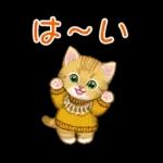 冬のキラキラおめめの子猫ちゃん
