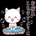 ねこの新年あいさつ🐱