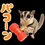フクロモモンガ❤実りの秋は大豊作