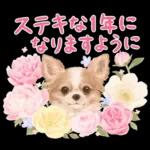 大人かわいい♡いぬと花のスタンプ