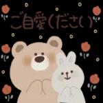 こころにグッとするクマさんです🧸