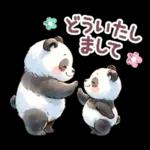 パンダのつめあわせ