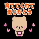 感謝の気持ち♡くまさん