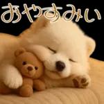 白いモフモフ～その名はサモエド！２
