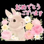 めっちゃ可愛い🫣🫣🫣