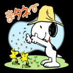 ご連絡
ありがとう
ございます