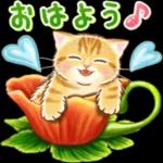 いい日になりますように 🥰