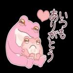 🌹Happy Valentine's day❤️🍫