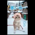 可愛い猫 冬 スキー スノボー 思いやりBIG
