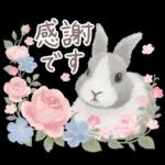 めっちゃ可愛い🫣🫣🫣