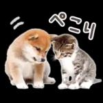 しばにゃんこスタンプ