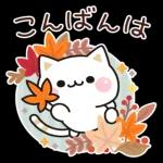 秋の気づかいのできるネコ♪飛び出す！