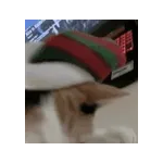 気持ちが伝わる日常メッセージ☆
