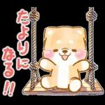 愛する人に感謝を送る❤️いやしばいぬ赤柴