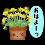 ず～っと使える＊オトナメルヘン＊