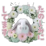HELLO