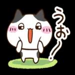 まるブチ☆_-挨拶