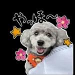 大人かわいい日常メッセージ?