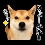 Premium 柴犬こてつ君*スタンプ第二弾