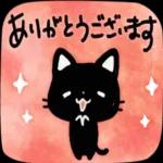 かわいい黒猫ちゃんの一日