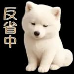 白いモフモフ～その名はサモエド！２