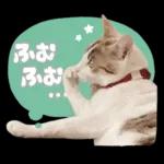まるちゃんスタンプ＃1